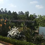 Casa Da Estivada, 313 * Vila do Conde